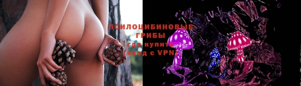 МДПВ Алексеевка