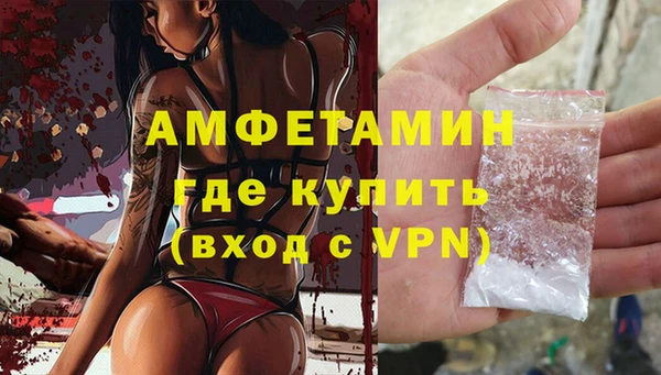 дмт Алзамай