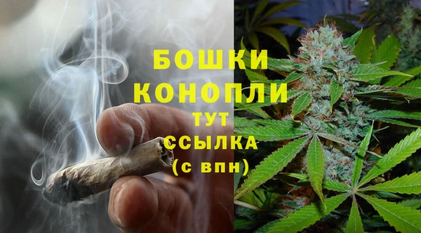дмт Алзамай