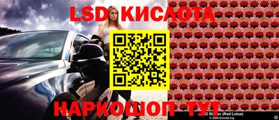 ECSTASY Славгород