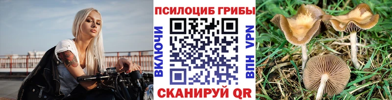 Галлюциногенные грибы GOLDEN TEACHER Павлово