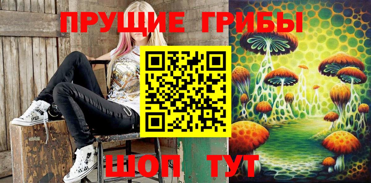 Псилоцибиновые грибы ЛСД Павлово