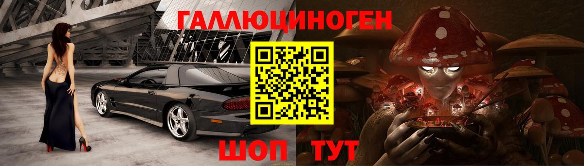 Псилоцибиновые грибы GOLDEN TEACHER  Галлюциногенные грибы MAGIC MUSHROOMS  где продают   Павлово  Вход с VPN 
